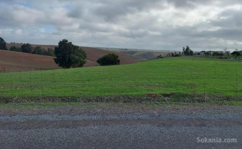 Terrain agricole vierge titré à 5km de kamouni